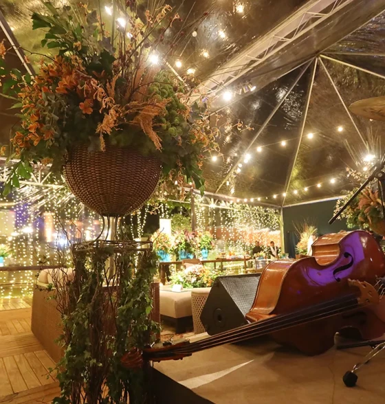 Lançamento Perspective