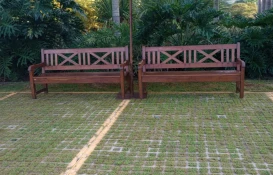 Lançamento Movement