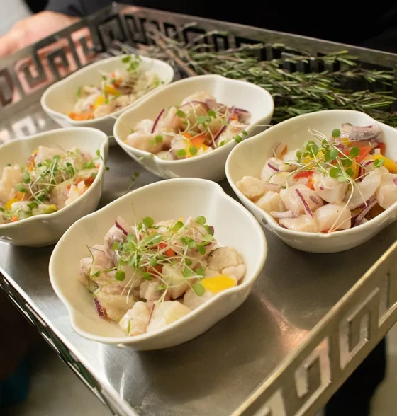 Lançamento Movement