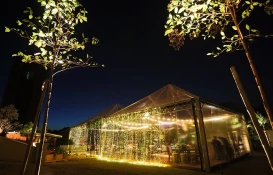 Lançamento Movement