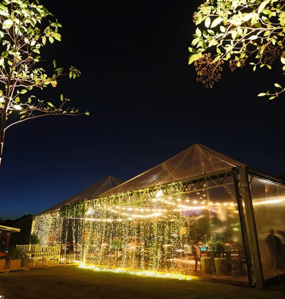 Lançamento Perspective